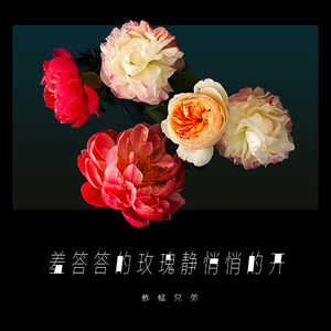 97精品在线播放
